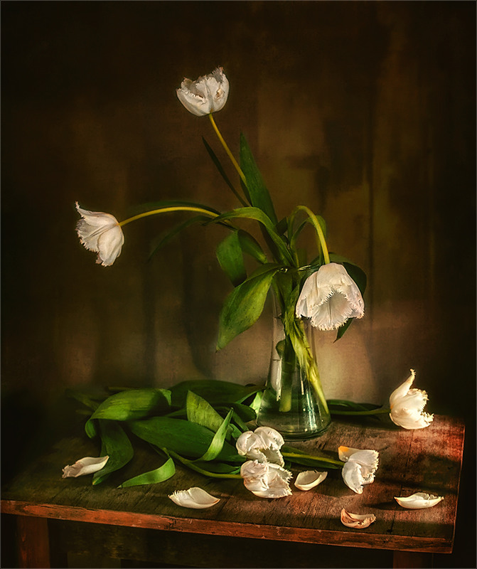 Фотографія натюрморт с тюльпанами / Михайло Шерман / photographers.ua