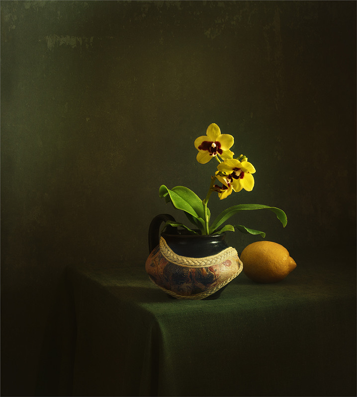 Фотографія натюрморт с орхидеей и лимоном / Михайло Шерман / photographers.ua