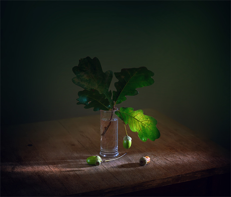 Фотографія натюрморт с дубовыми листьями / Михайло Шерман / photographers.ua