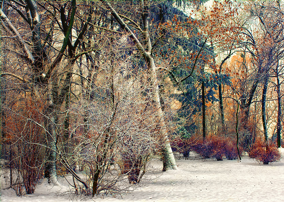 Фотографія разноцветная зима / Михайло Шерман / photographers.ua