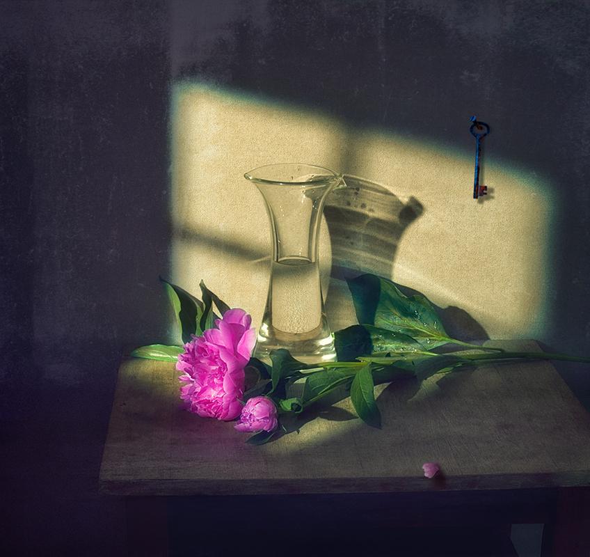 Фотографія натюрморт с цветком / Михайло Шерман / photographers.ua