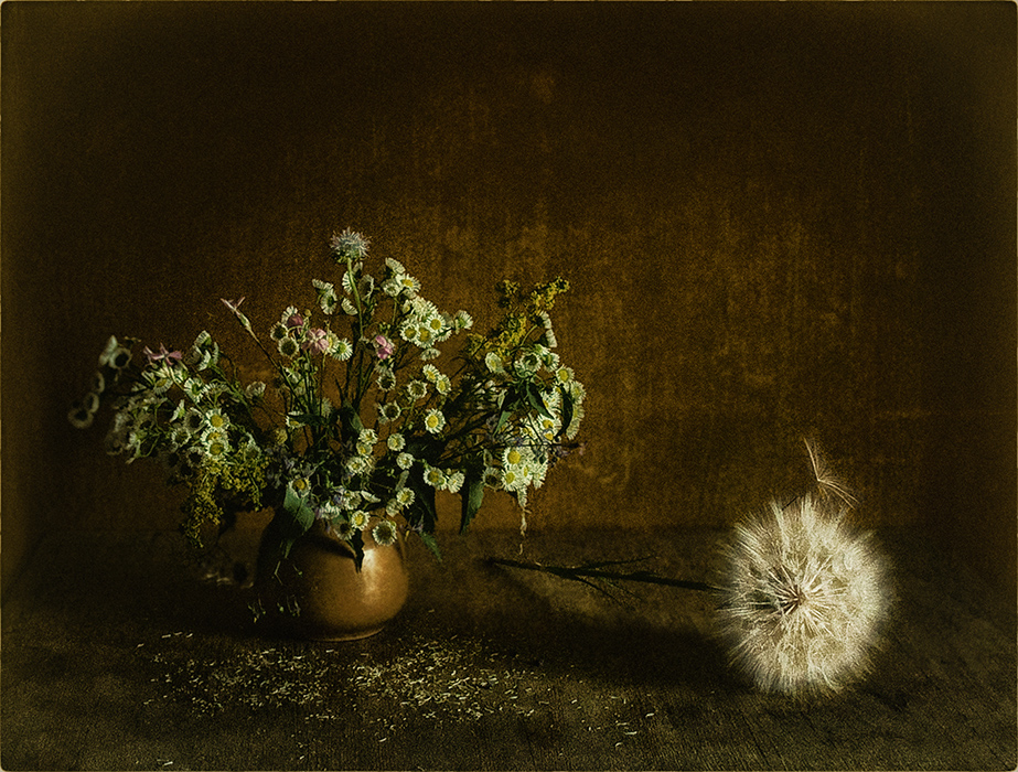Фотографія натюрморт с полевыми цветами / Михайло Шерман / photographers.ua