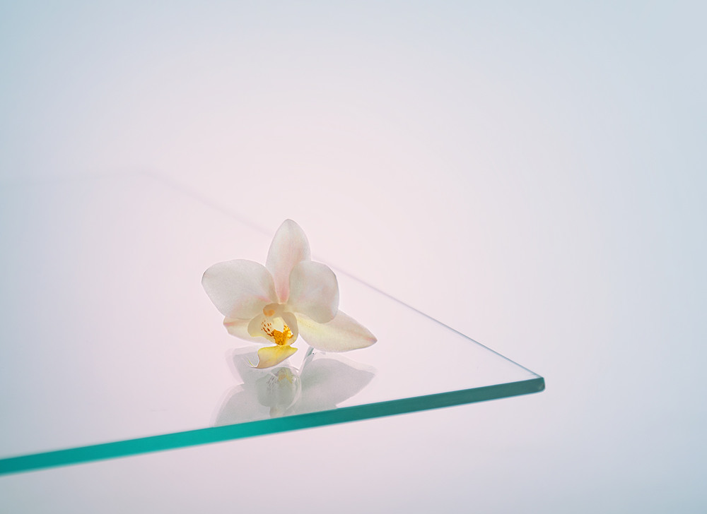 Фотографія с цветком орхидеи / Михайло Шерман / photographers.ua