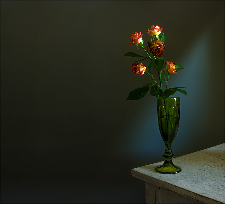 Фотографія натюрморт з гілкою троянд / Михайло Шерман / photographers.ua