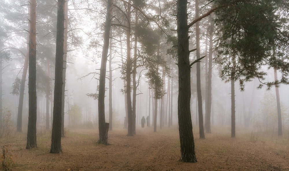 Фотографія ...в тумане / Михайло Шерман / photographers.ua