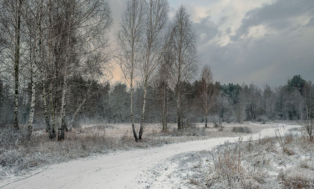 Фотографія зимова дорога / Михайло Шерман / photographers.ua
