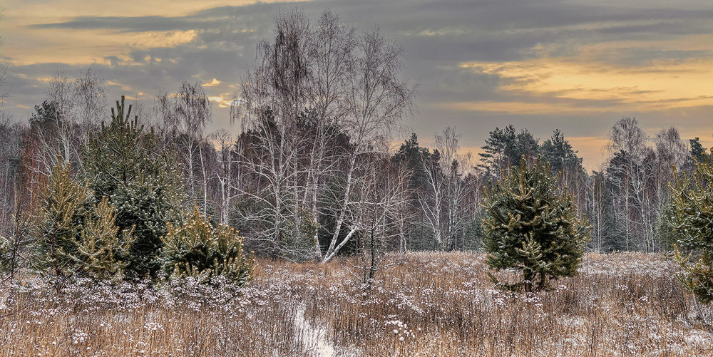 Фотографія сніг випав / Михайло Шерман / photographers.ua