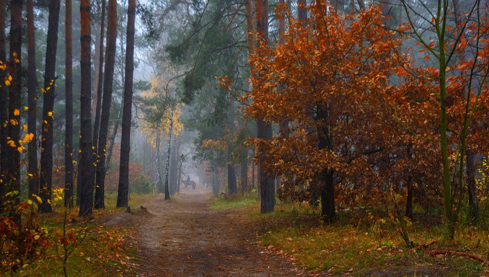 Фотографія прогулянка в осінь / Михайло Шерман / photographers.ua