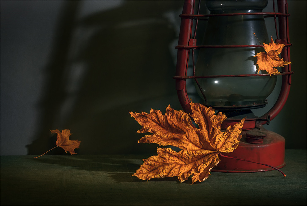 Фотографія натюрморт з осіннім листям і лампою / Михайло Шерман / photographers.ua