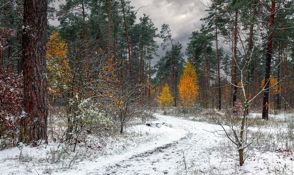 Фотографія і зима та осінь / Михайло Шерман / photographers.ua