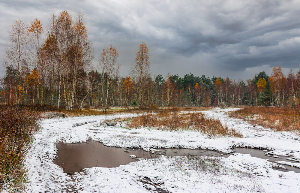 Фотографія перший сніг / Михайло Шерман / photographers.ua