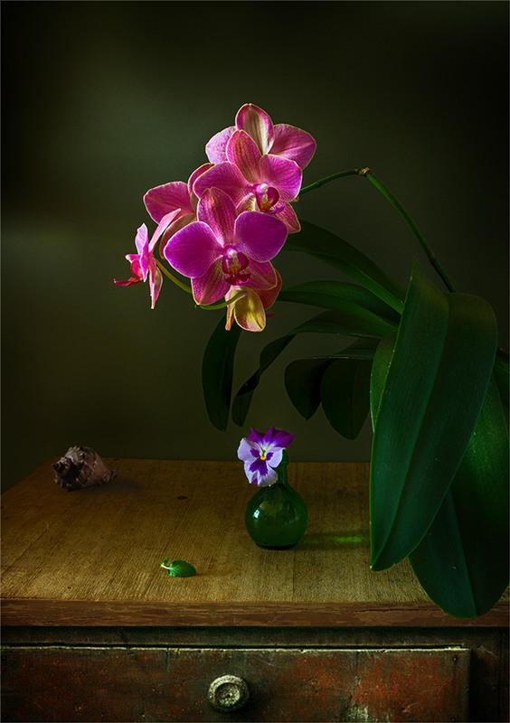 Фотографія натюрморт с орхидеей / Михайло Шерман / photographers.ua