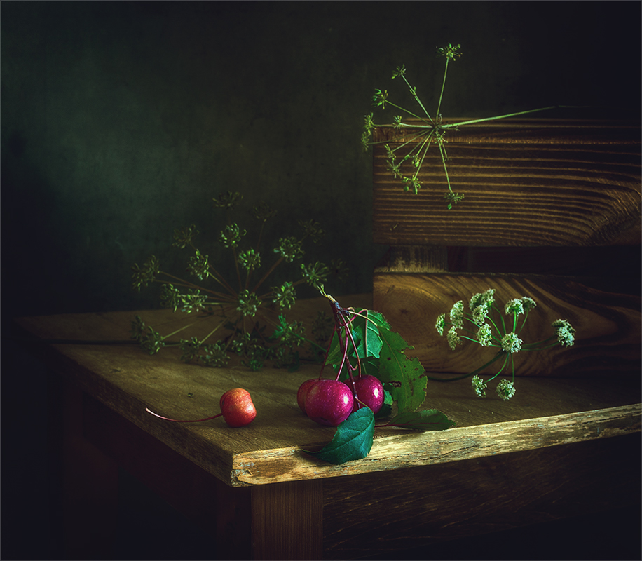 Фотографія натюрморт с райскими яблочками / Михайло Шерман / photographers.ua