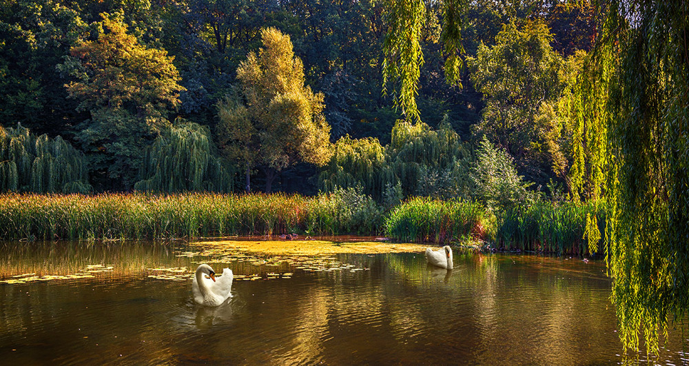 Фотографія на озере / Михайло Шерман / photographers.ua