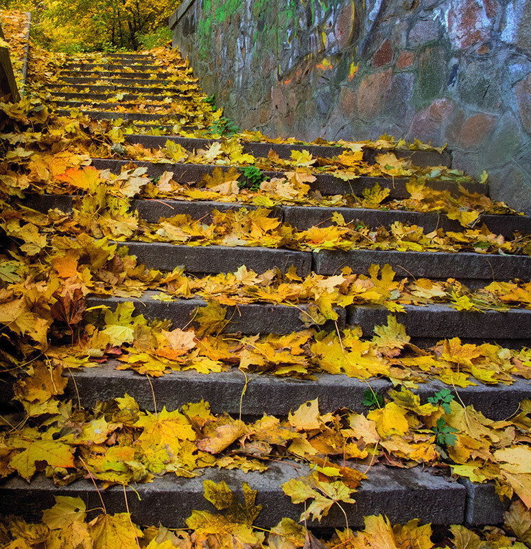 Фотографія лестница в осень / Михайло Шерман / photographers.ua