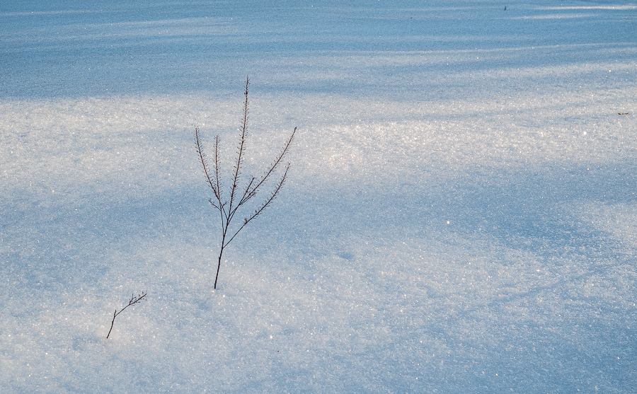 Фотографія зимовий мінімалізм / Михайло Шерман / photographers.ua