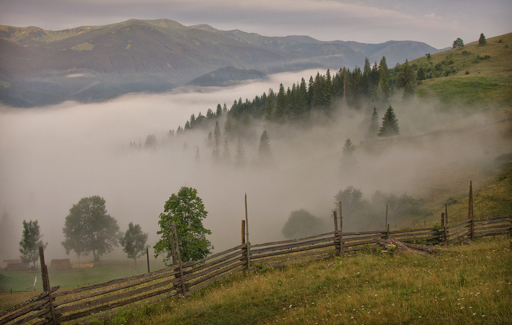 Фотографія Пастка для туману / Aahz / photographers.ua