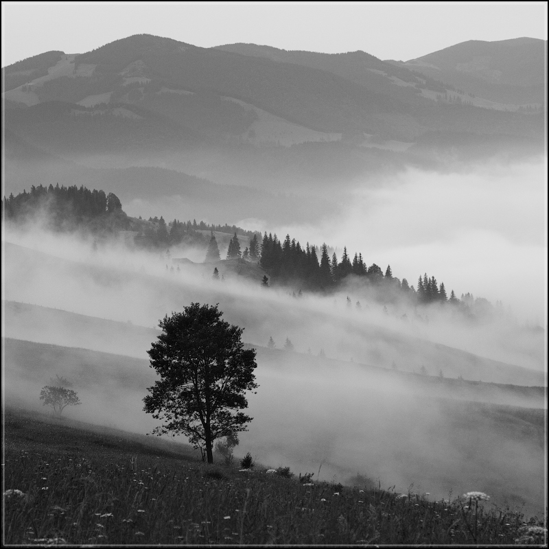 Фотографія Туман... / Aahz / photographers.ua
