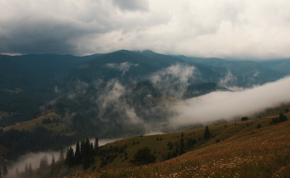 Фотографія На долину туман... / Aahz / photographers.ua