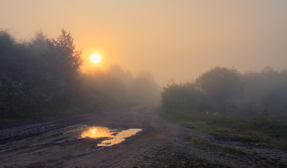 Фотографія В тумані... / Aahz / photographers.ua