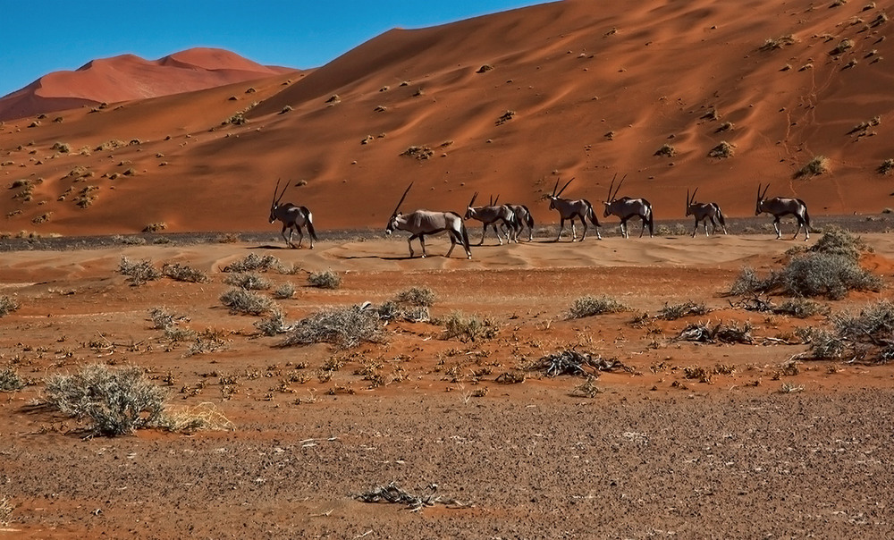 Фотографія Патруль возвращается на базу / Mariner / photographers.ua