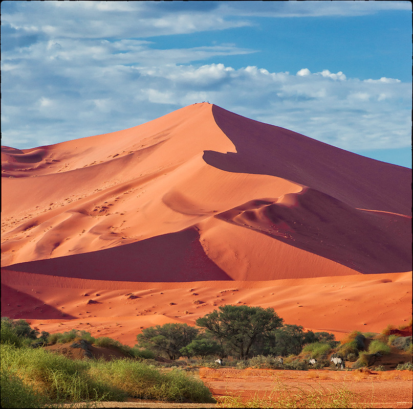 Фотографія Пустыня, люди и антилопы. / Mariner / photographers.ua