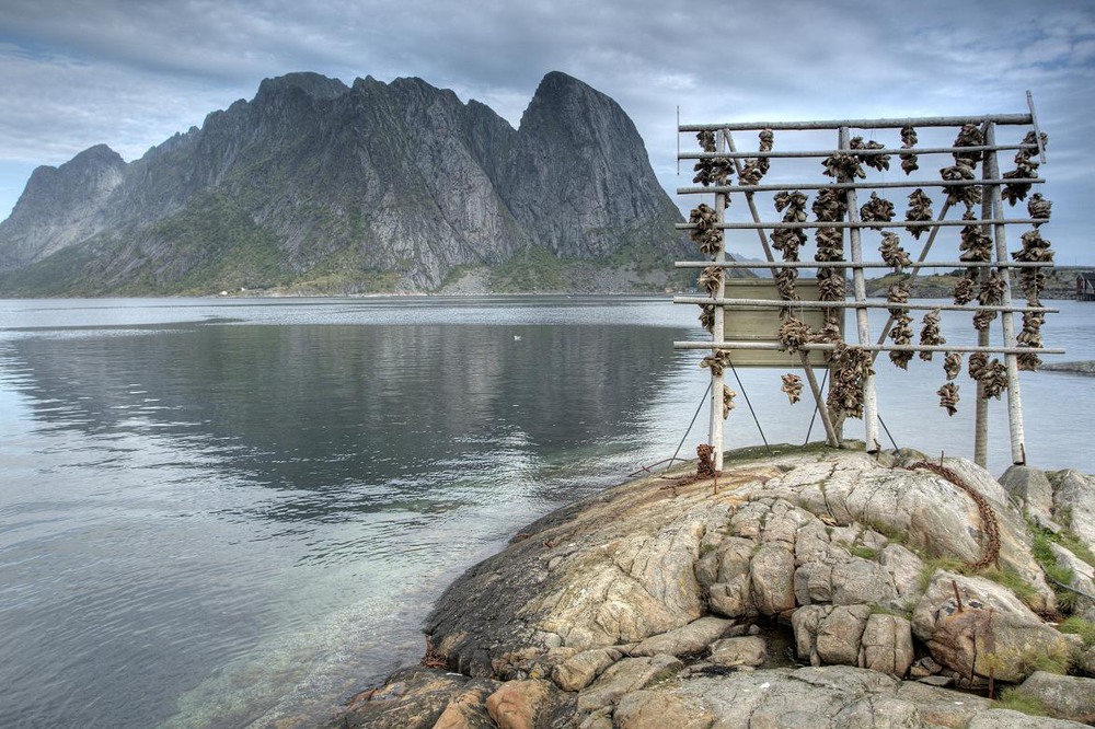 Фотографія Lofoten. Norge. / int333 / photographers.ua