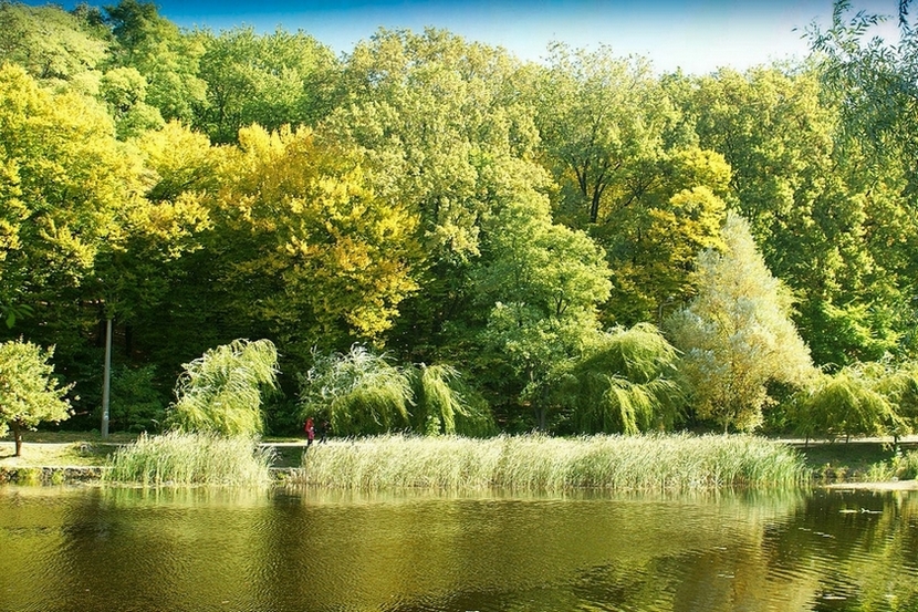 Фотографія осень в парке / Ihor M. / photographers.ua