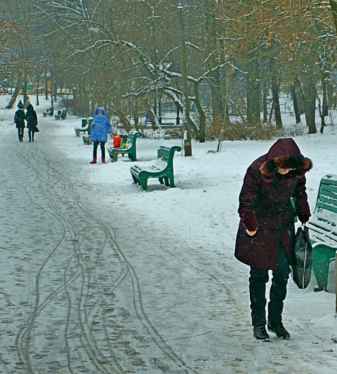 Фотографія в парке первый снег / Ihor M. / photographers.ua