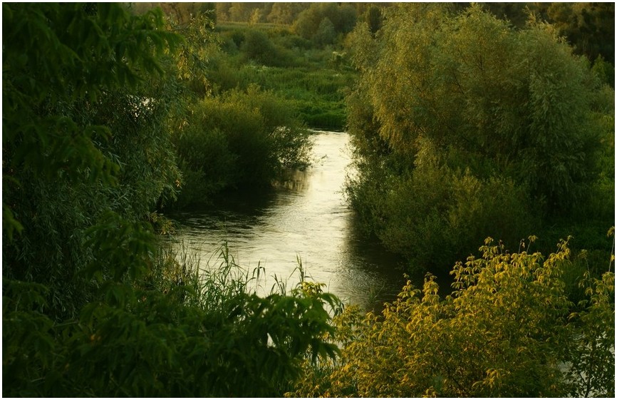 Фотографія реки крутой вираж / Ihor M. / photographers.ua
