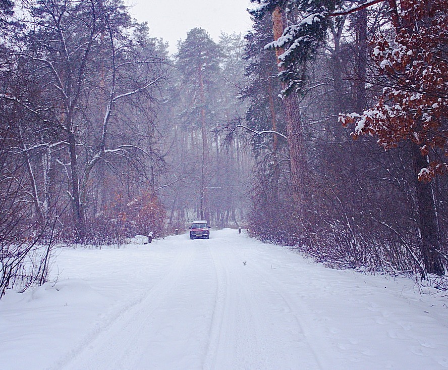 Фотографія снежная дорога домой / Ihor M. / photographers.ua