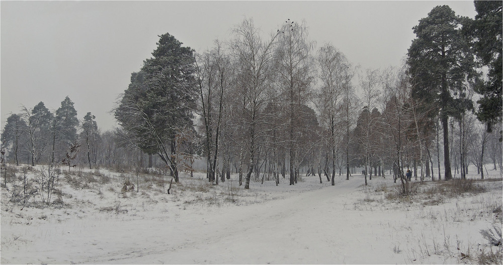 Фотографія Сніг,туман,та двійко парочок... / MAN / photographers.ua