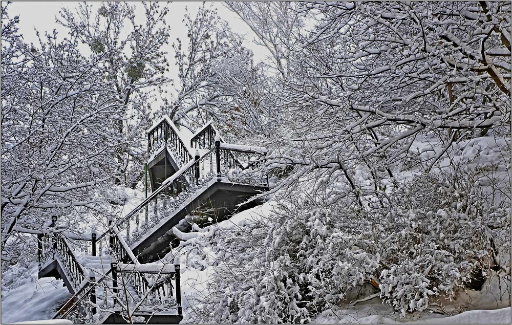 Фотографія Графика зимы... / MAN / photographers.ua