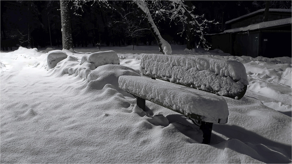 Фотографія Незасмучений сніг... / MAN / photographers.ua