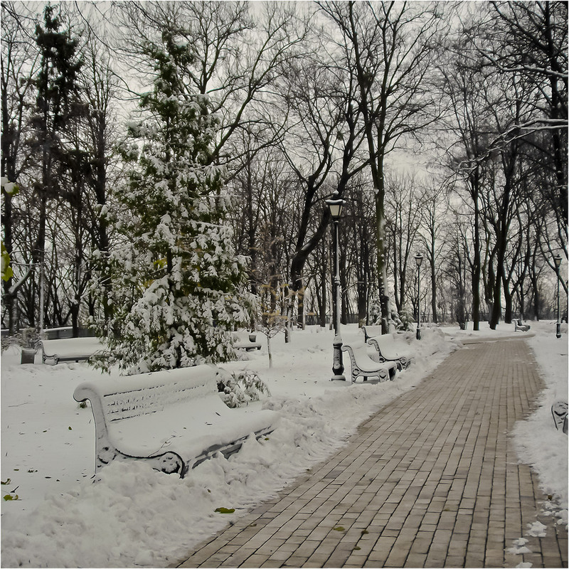 Фотографія Аллейками старого парка / MAN / photographers.ua