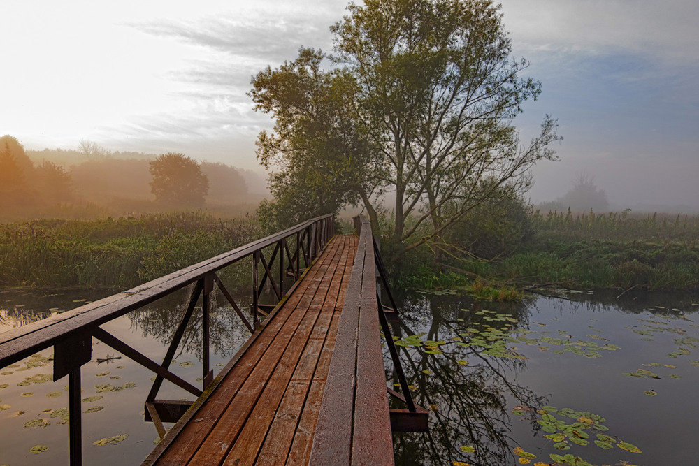 Фотографія Пейзаж / MAN / photographers.ua