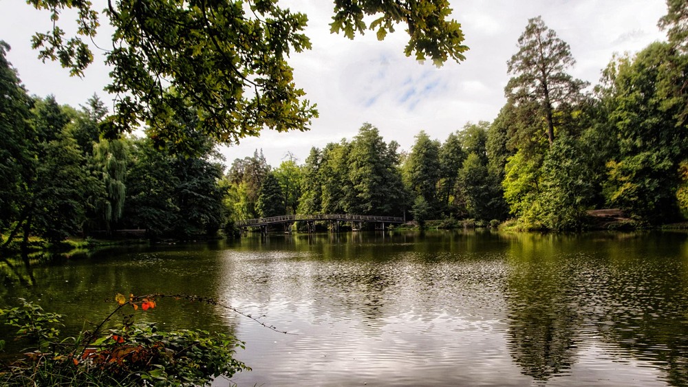 Фотографія Пейзаж / MAN / photographers.ua