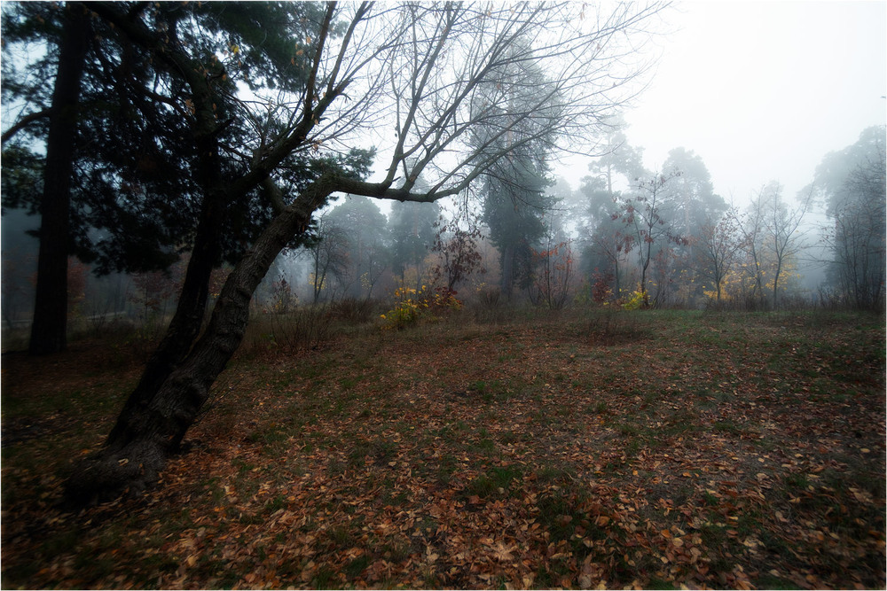 Фотографія Пейзаж / MAN / photographers.ua