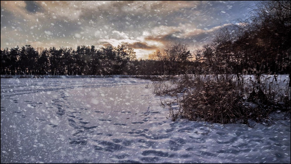 Фотографія Пейзаж / MAN / photographers.ua