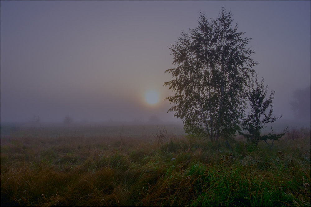 Фотографія Пейзаж / MAN / photographers.ua