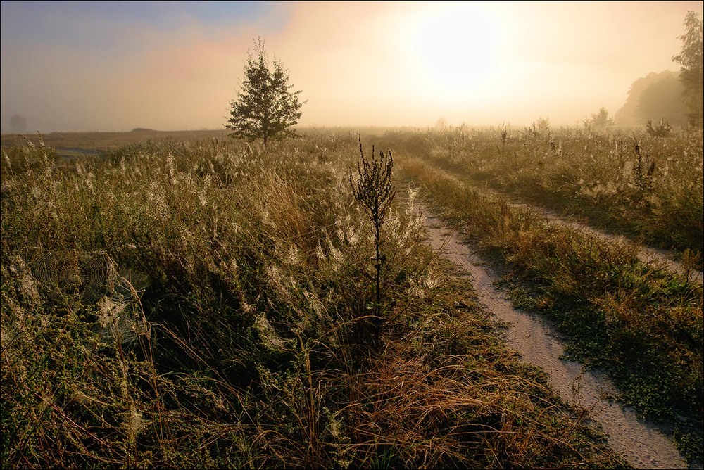 Фотографія Назустріч світлу... / MAN / photographers.ua