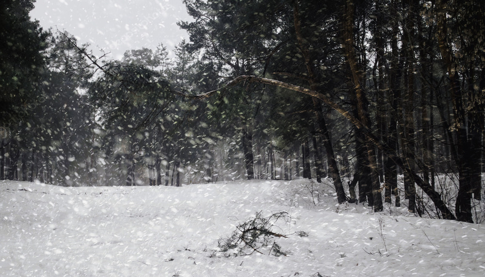 Фотографія Пейзаж / MAN / photographers.ua