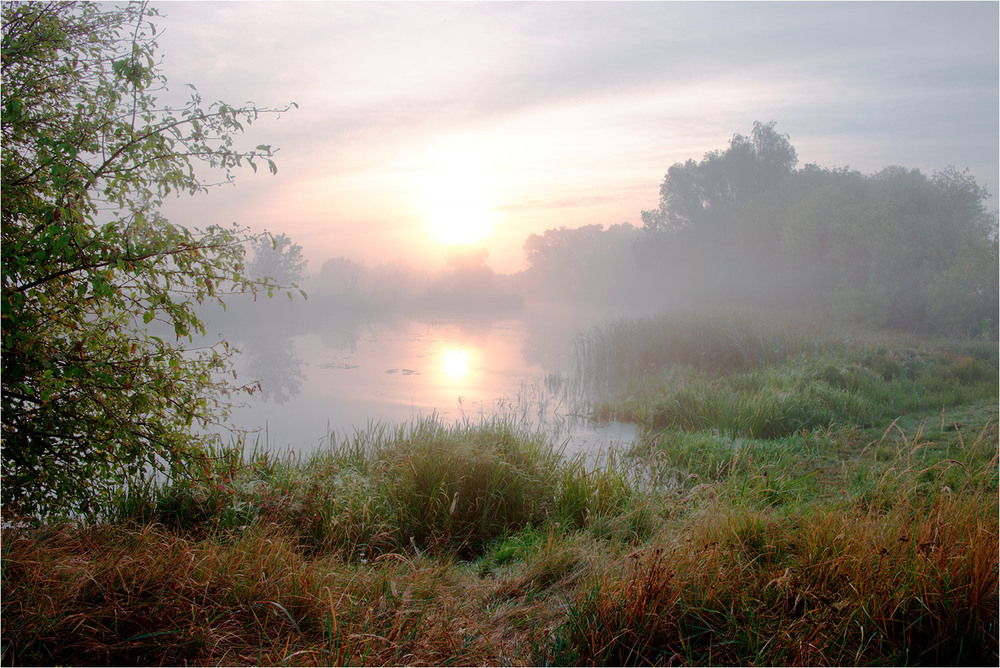 Фотографія Про щось в ту мить, я таки мріяв... / MAN / photographers.ua