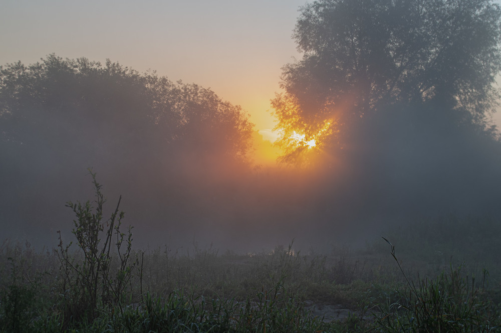 Фотографія Вся в тумане река,ясно-солнце встаёт... / MAN / photographers.ua