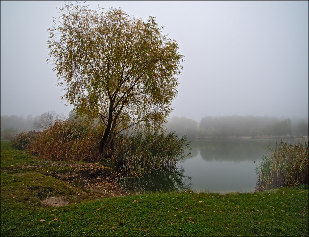 Фотографія Надихала осінь... / MAN / photographers.ua