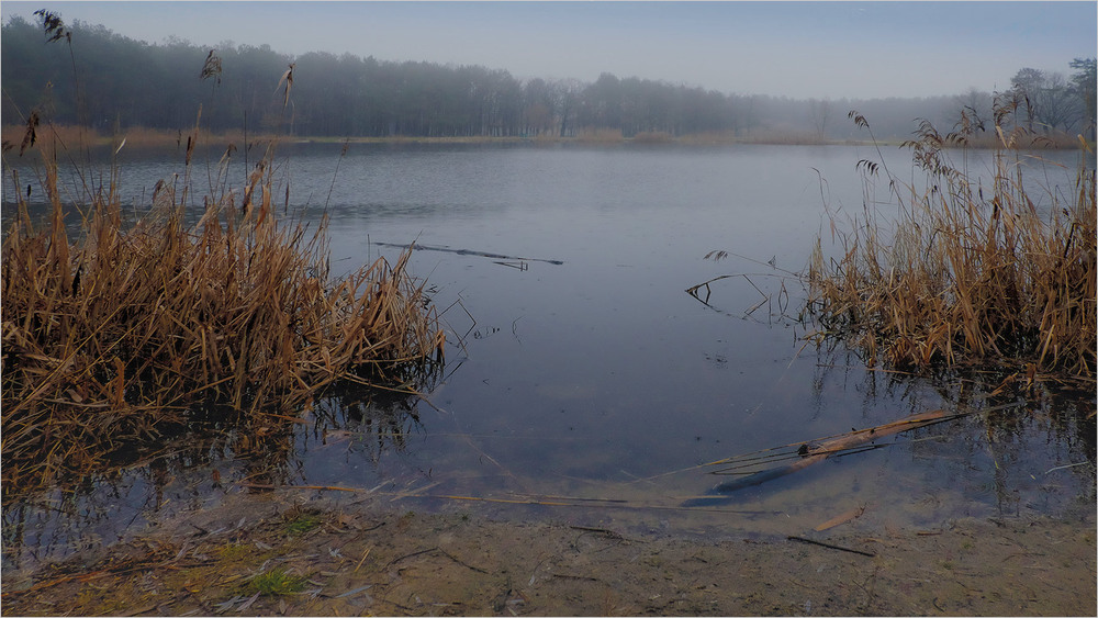 Фотографія Промозглий спокій... / MAN / photographers.ua