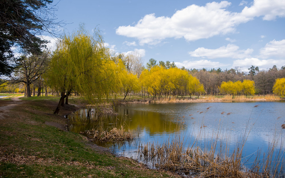 Фотографія На любимом озере весной... / MAN / photographers.ua