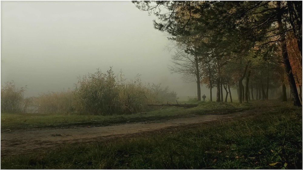 Фотографія Туман туманище над миром стелется... / MAN / photographers.ua
