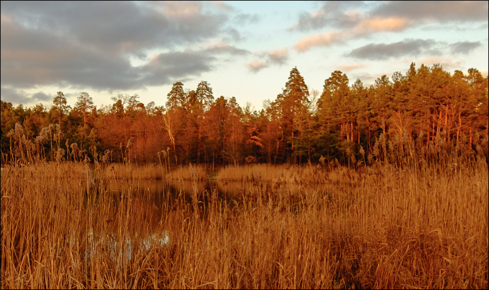 Фотографія Осень,рыжая осень... / MAN / photographers.ua