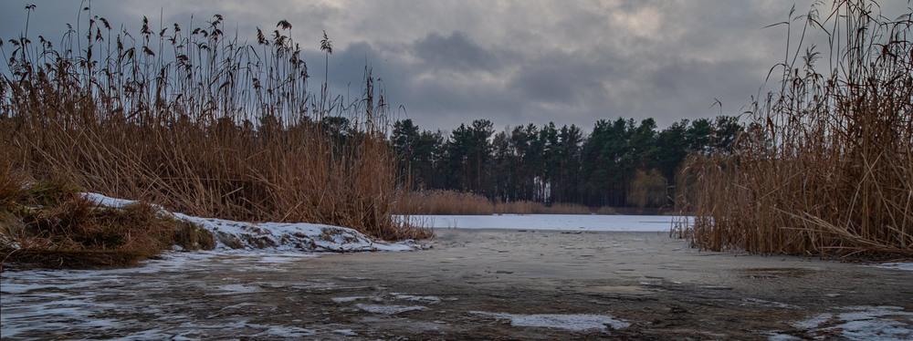Фотографія Заіндевіле озеро у парку... / MAN / photographers.ua